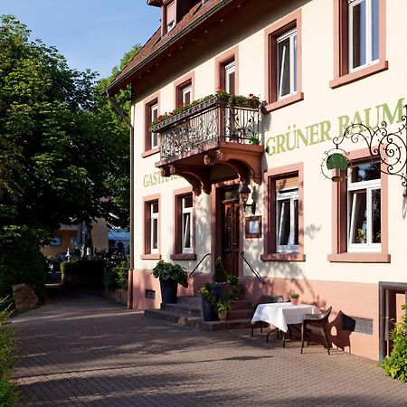 Hotel & Restaurant Gruener Baum Merzhausen Zewnętrze zdjęcie