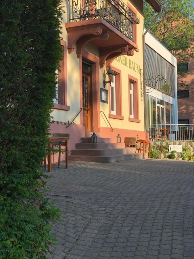 Hotel & Restaurant Gruener Baum Merzhausen Zewnętrze zdjęcie