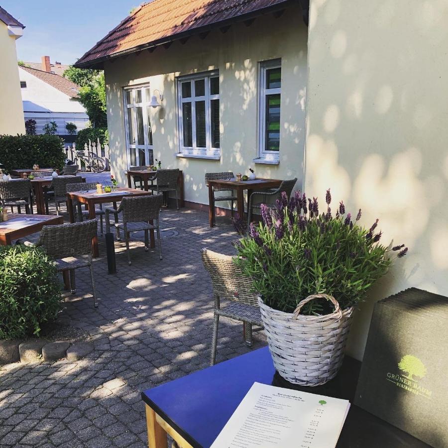 Hotel & Restaurant Gruener Baum Merzhausen Zewnętrze zdjęcie